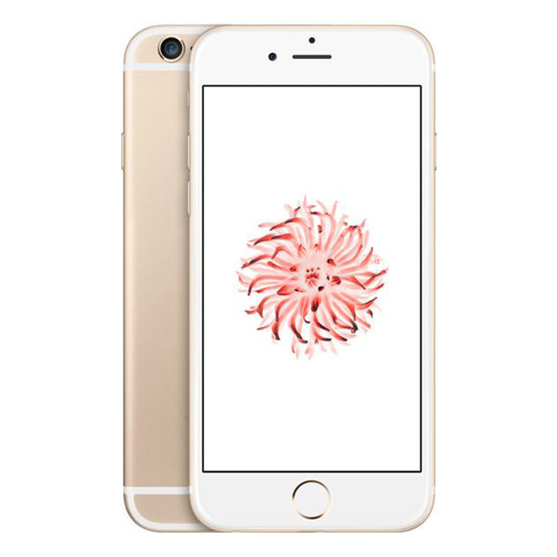 iPhone 6 Plus